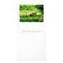 HORSES CUSTOMIZED PHOTO CARD