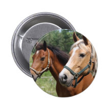 Horses Pinback Button