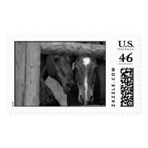 Horses postage by yellacorvette Horses postage