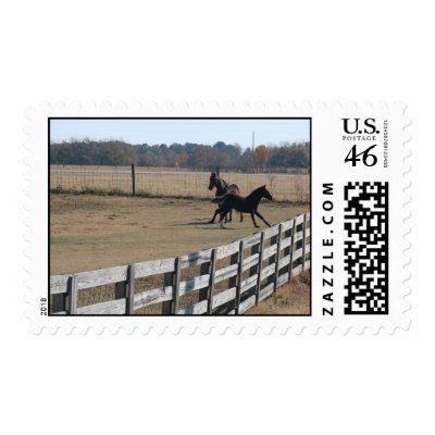 Horses by bhughes1uga
