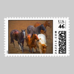 Horses Postage postage