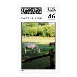Horses Postage
