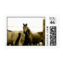 Horses postage