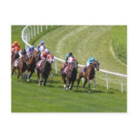 Horses