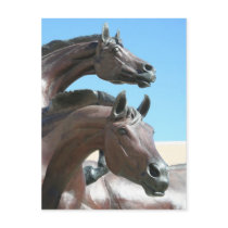 Horses postcards