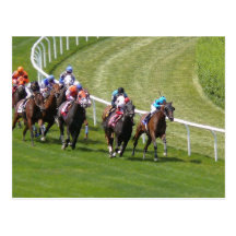 Horses Postcards