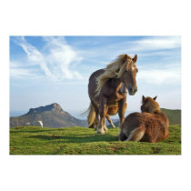 Horses posters by beverlytazangel Horses posters