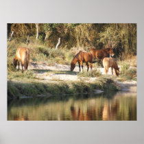 horses posters