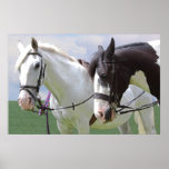 Horses Print