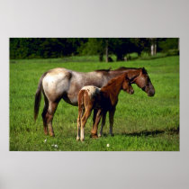 Horses Print