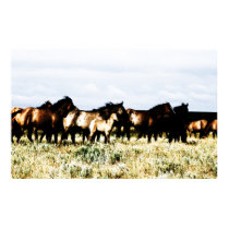 horses posters