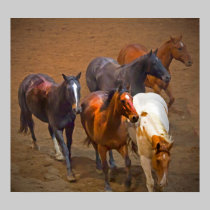 Horses Poster posters