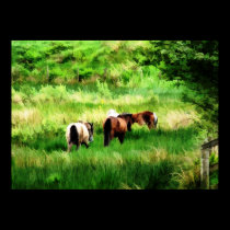 HORSES posters