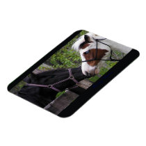 Horses Vinyl Magnets