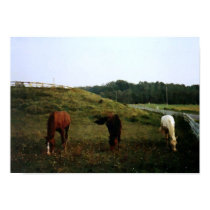 Horses posters by beesplace Horses posters