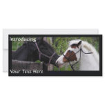 Horses Rack Cards