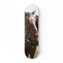 Horses Ready To Go Custom Skate Board
