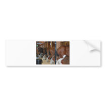Horses rear ends bumper sticker
