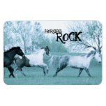 Horses ROCK Magnet