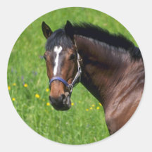 Horses Round Stickers