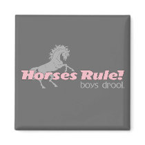 Horses Rule Boys Drool magnets