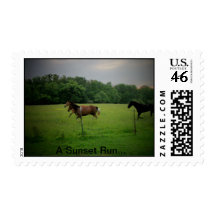 Horses Running at Sunset Stamps