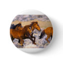 Horses running buttons