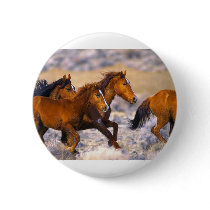 Horses running buttons