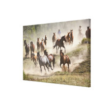 Horses running during roundup, Montana Stretched Canvas Prints