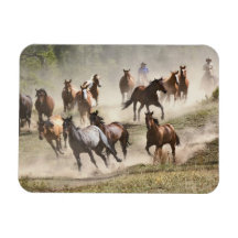 Horses running during roundup, Montana Flexible Magnet