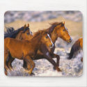 Horses running mousepads