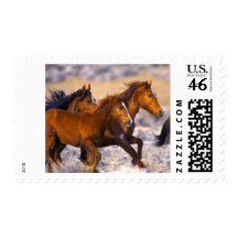 Horses running stamps