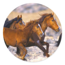 Horses running sticker