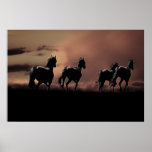Horses running wild at sunset poster