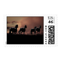 Horses running wild at sunset stamps
