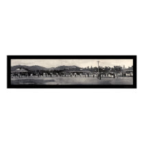 Horses Santa Anita Photo 1908 posters