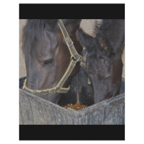 Horses sharing custom flyer