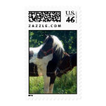 Horses Stamp