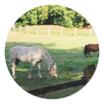 Horses stickers by Moondial Horses stickers