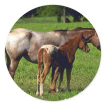 Horses Stickers