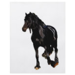 Horses sudden turn flyers