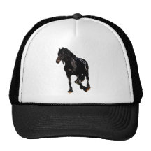 Horses sudden turn hat