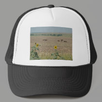 Horses & Sunflowers hats