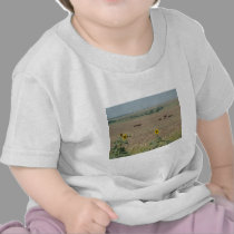 Horses & Sunflowers t-shirts