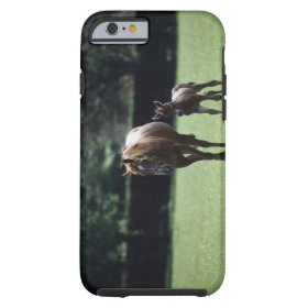 Horses - Thoroughbred, Mare And Foal, Tough iPhone 6 Case