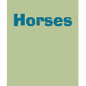 Horses t-shirts