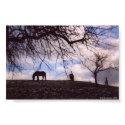 Horses Uphill posters by menekse Horses Uphill posters