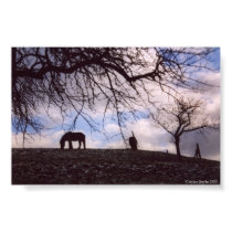 Horses Uphill posters