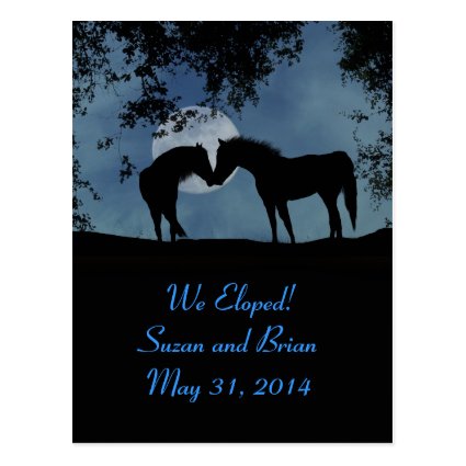 Horses, We Eloped Announcement Postcards!