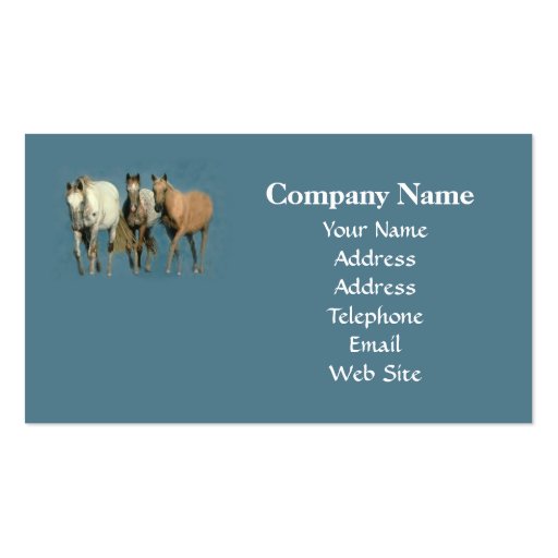 Horses Wild and Wonderful Business Card (back side)